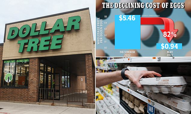 Dollar Tree starts selling eggs again after removing them from shelves due to inflation
