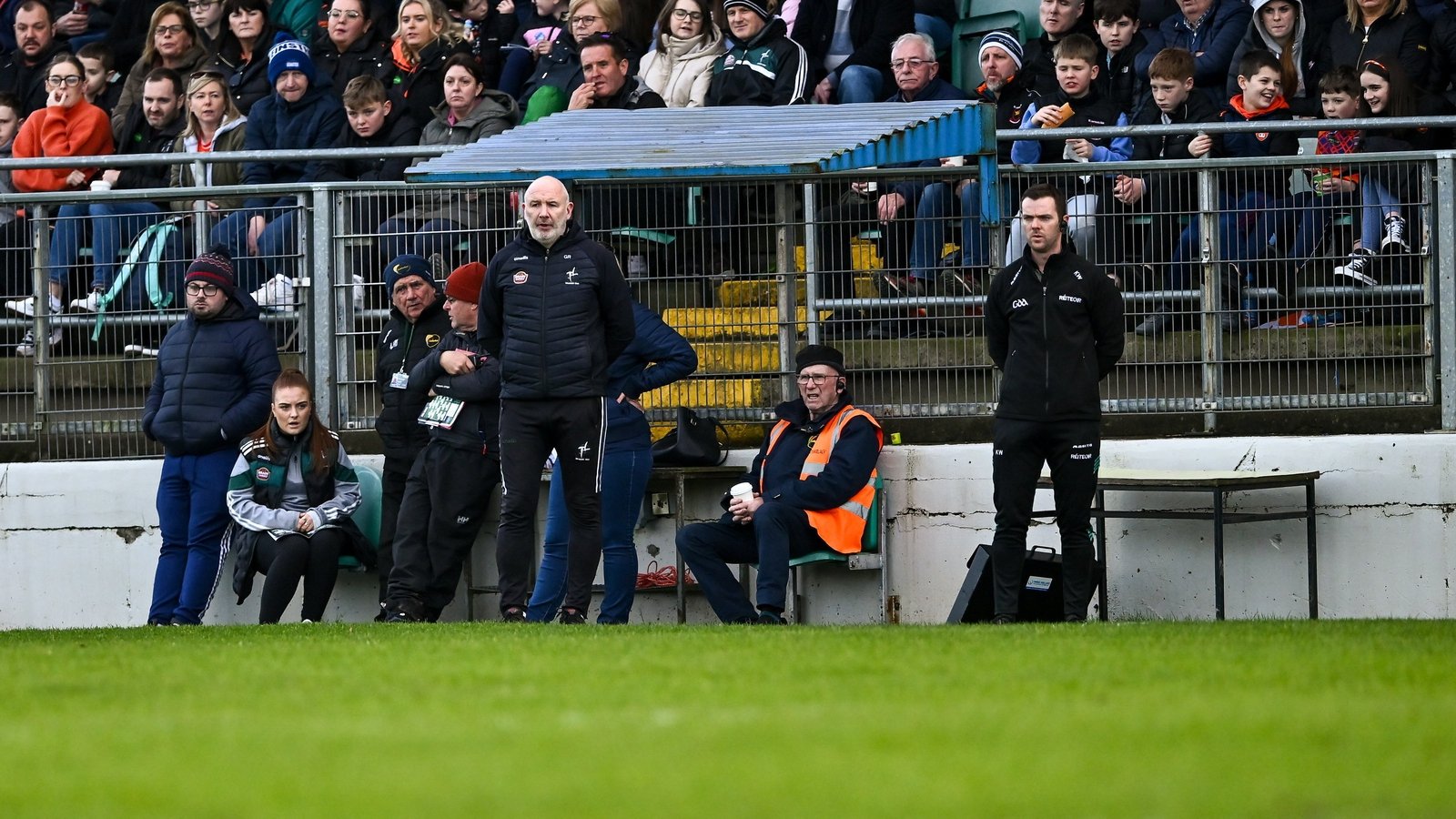 Whelan: Something is not right in Kildare