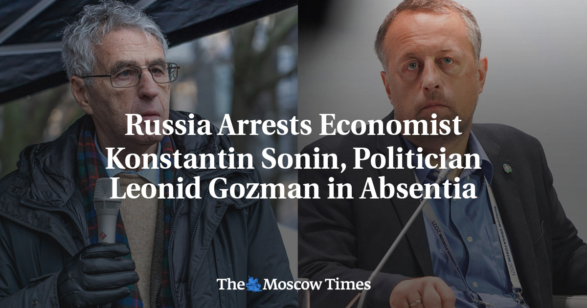Russia Arrests Economist Konstantin Sonin, Politician Leonid Gozman in Absentia