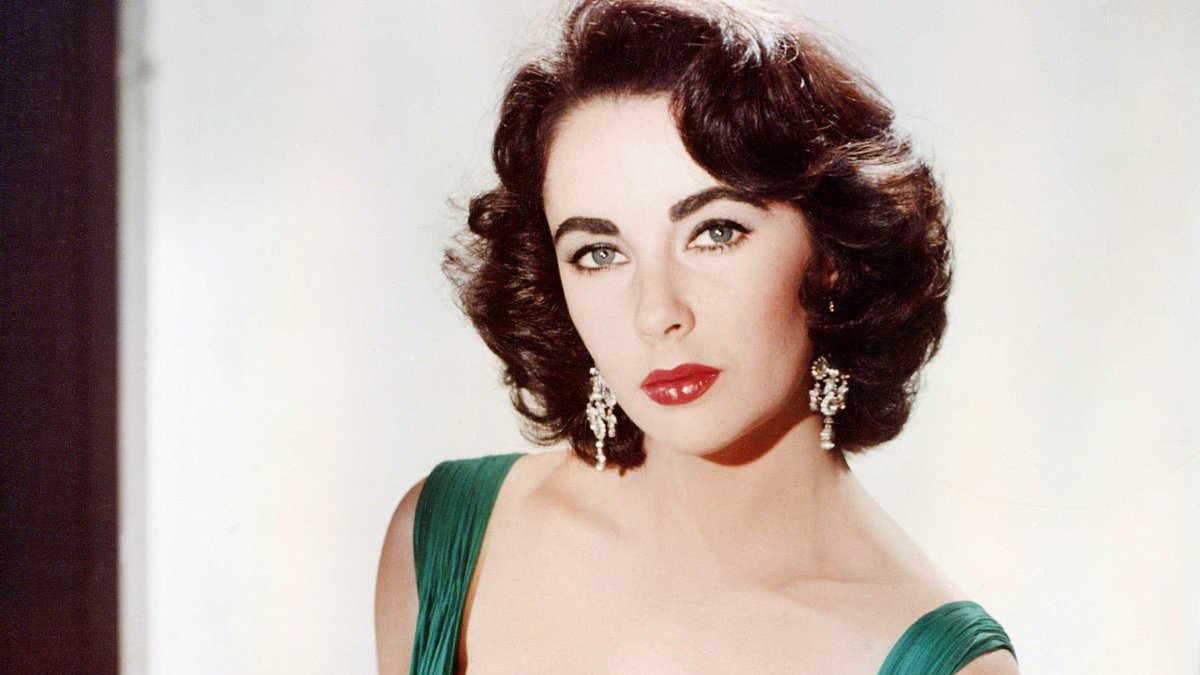 Elizabeth Taylor's estate is launching a new fashion line of hoodies, sweatshirts and t-shirts with a portion of sales going to her AIDS foundation