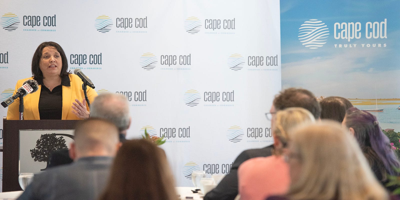 Tourism website, marketing, grants to fuel Cape's tourism economy, state officials say