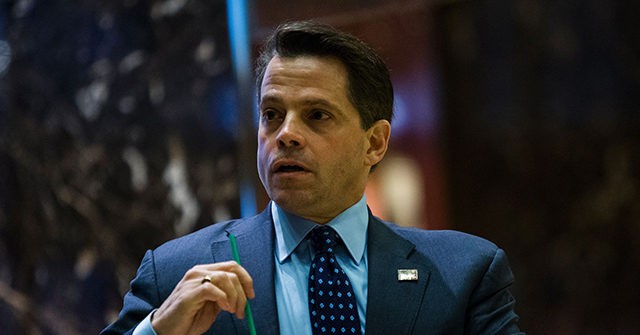 Scaramucci: We Have to Make Sure Republicans Either Don't Vote or Vote for Biden