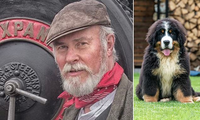 Retired vet, 77, found dead in his garden after being attacked by dogs