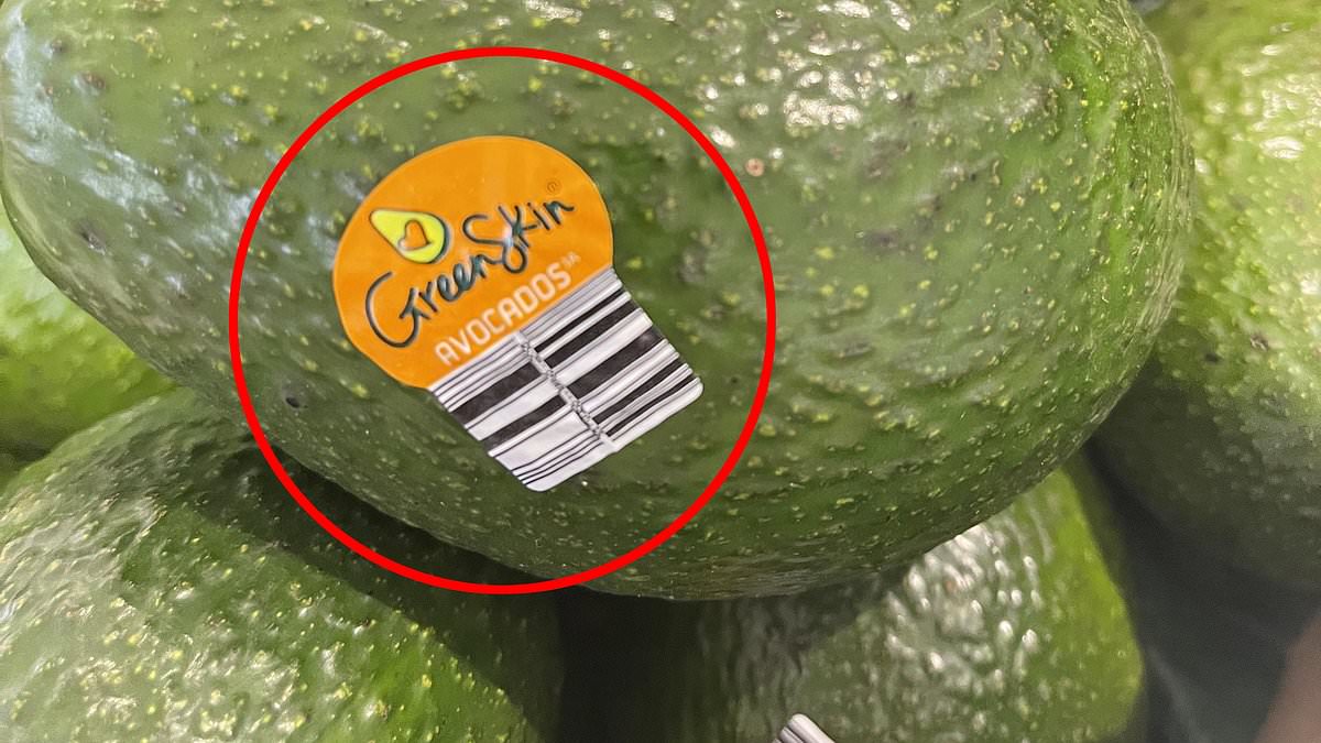 Shopper spots sneaky change to controversial Shepard avocados as the fruit takes over supermarkets: 'Worst time of year'