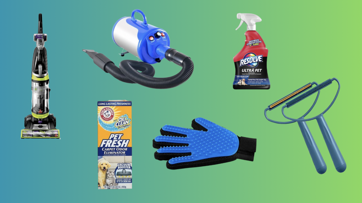 The Best Products and Tools to Clean Up After a Pet