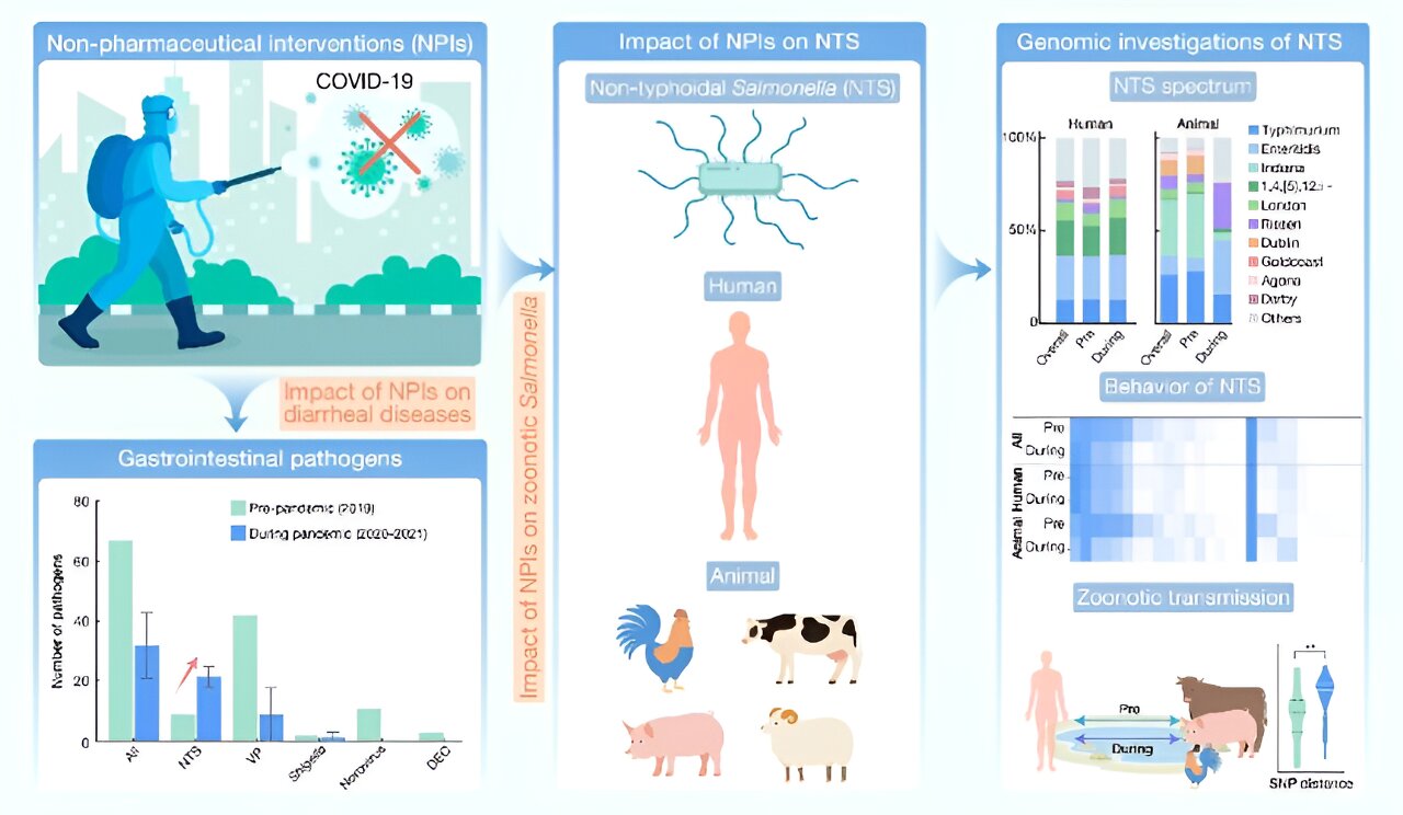 Impact of COVID-19-related nonpharmaceutical interventions on diarrheal diseases and zoonotic Salmonella