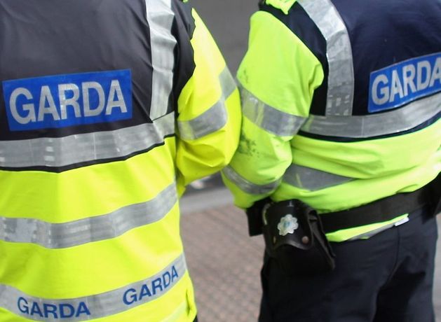 Gardai appeal for information after man (70s) assaulted in Co Roscommon