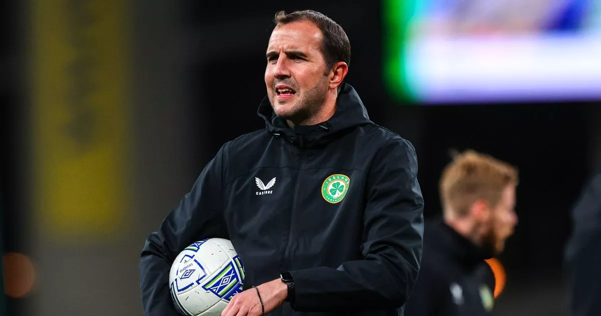 John O'Shea to remain as interim Republic of Ireland coach as manager search goes on