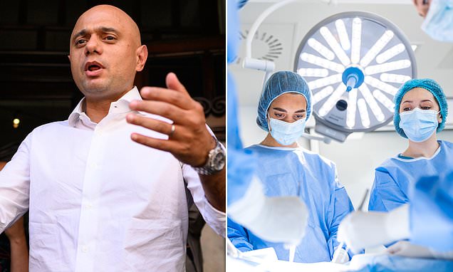 Sajid Javid says he would not replicate the NHS in another country
