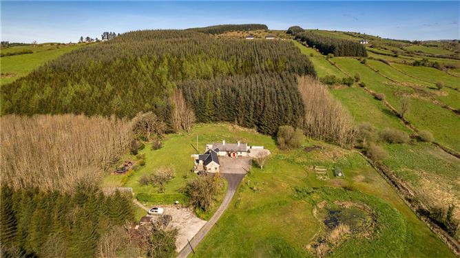 Rose Cottage, Carrowneden, Swinford, Co. Mayo - Savills Residential & Country Agency - 4791347