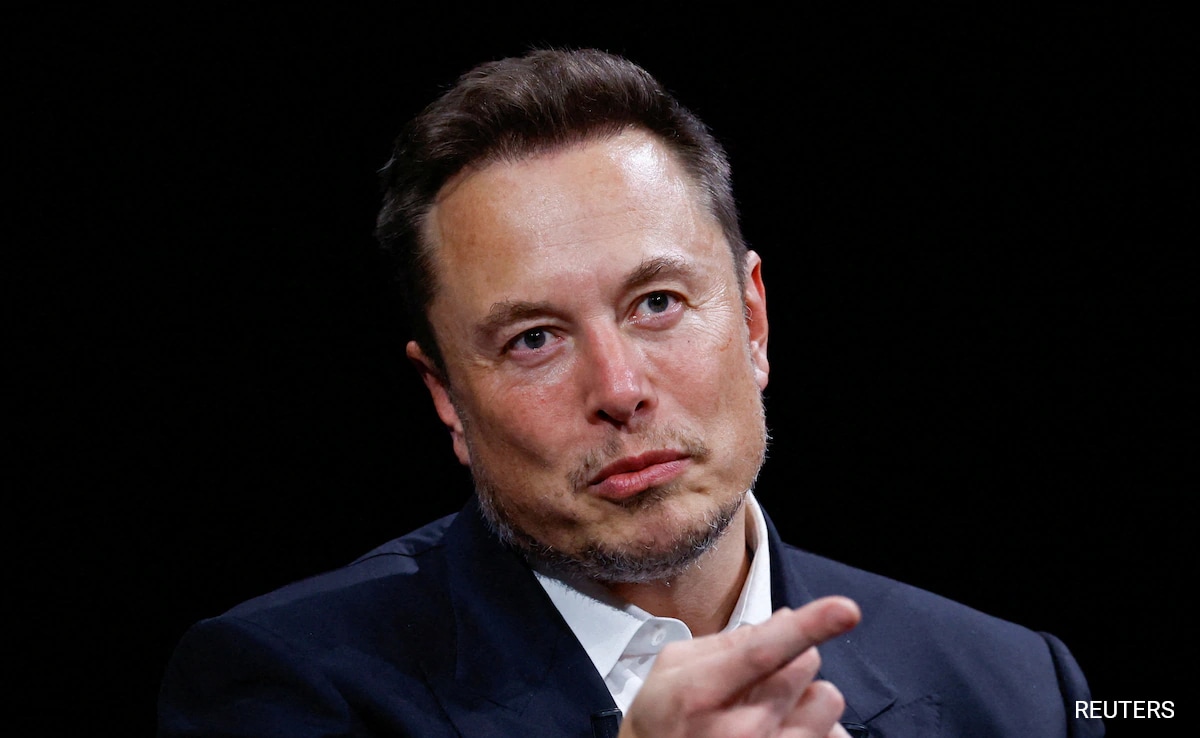 "Warned Elon Musk" Against Picking China Over India: Entrepreneur Vivek Wadhwa
