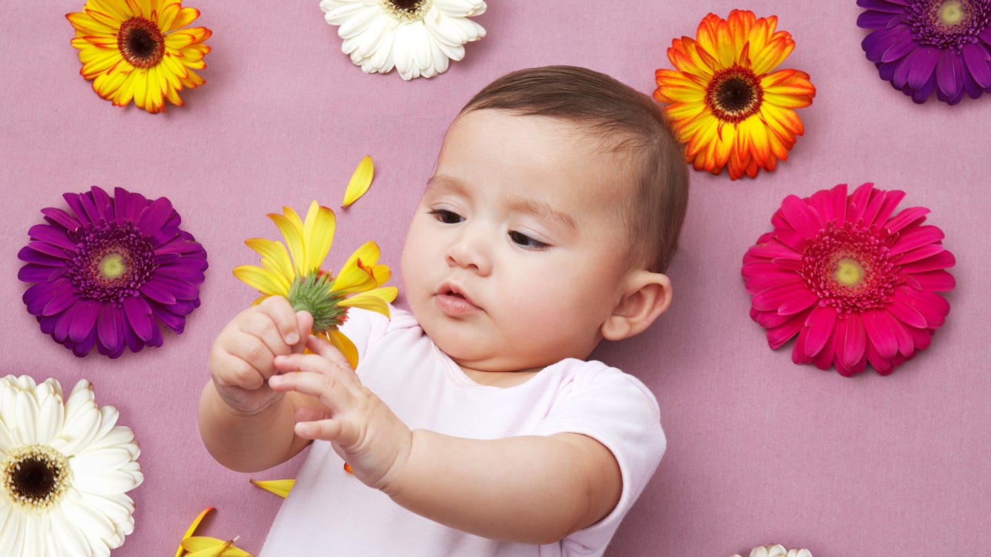 The 30 Most Popular Botanic Baby Names