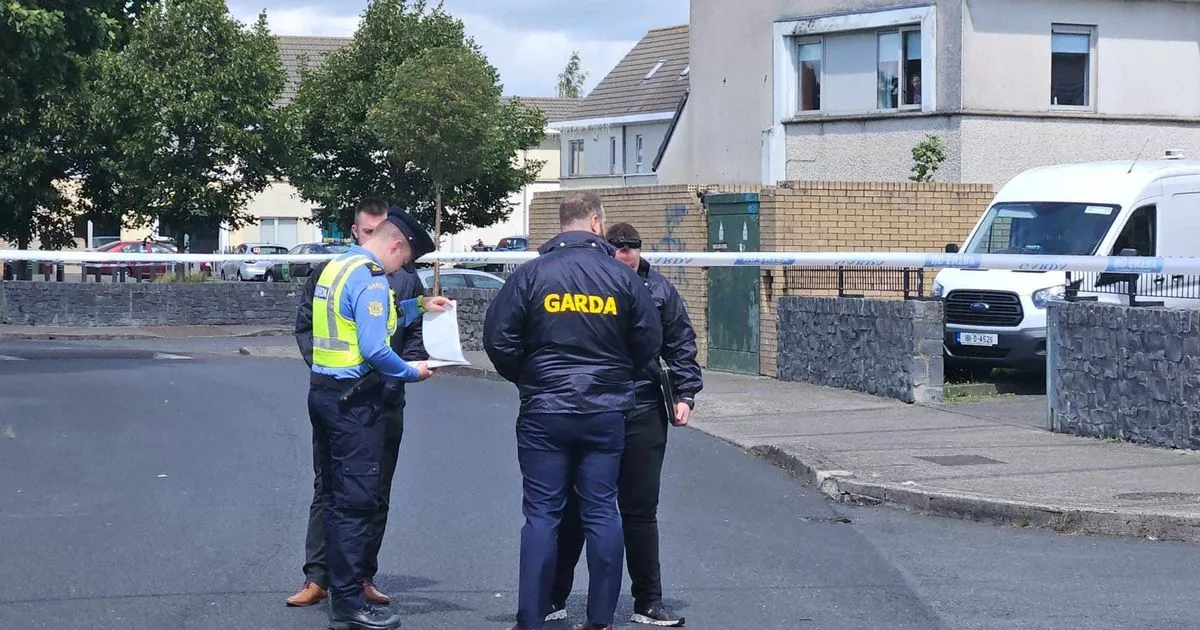 Man dead after overnight assault in west Dublin estate