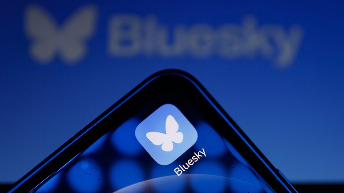 What is Bluesky, the new social media platform celebrities such as Lizzo and Gabrielle Union are ditching Elon Musk's X for?