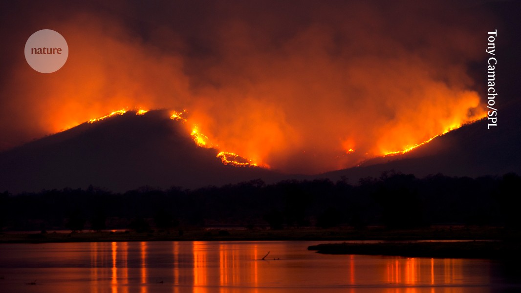 Farmers’ fires leave long-lasting smudge on African weather