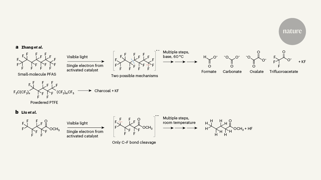 Catalysts degrade forever chemicals with visible light