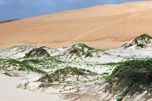 Merka Red Dunes in Jazeera, Somalia