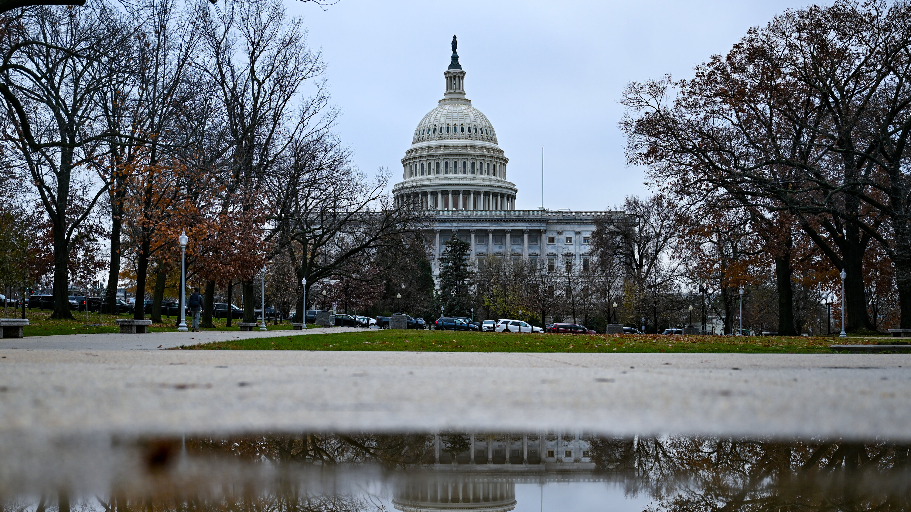 In Late Push, Senate Democrats Narrowly Top Trump on Judicial Confirmations