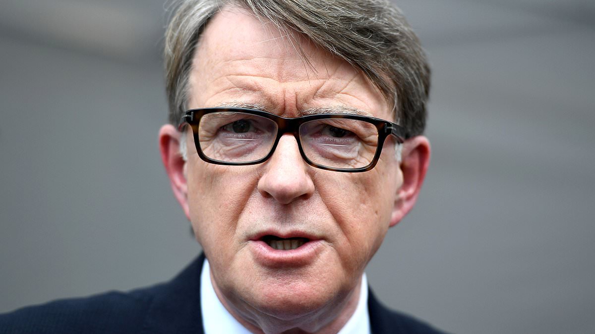 Oops! Donald Trump official calls Lord Mandelson an 'absolute moron' who should 'stay home' - just minutes after he was confirmed as Britain's new ambassador