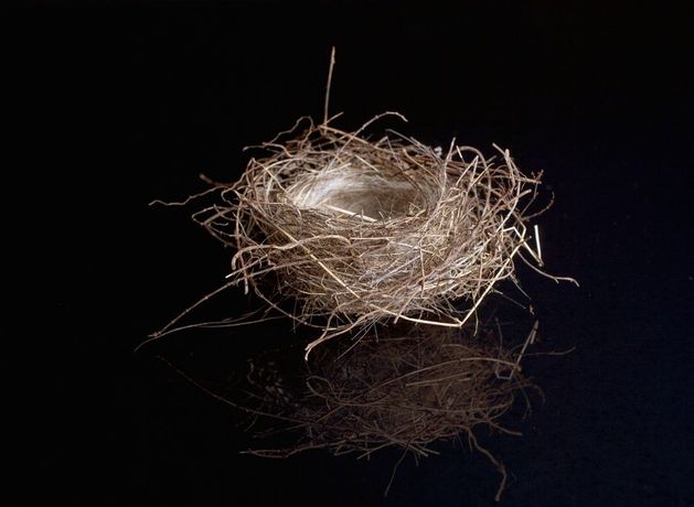 Malaysian drug courier who believed he was carrying edible birds’ nests avoids jail