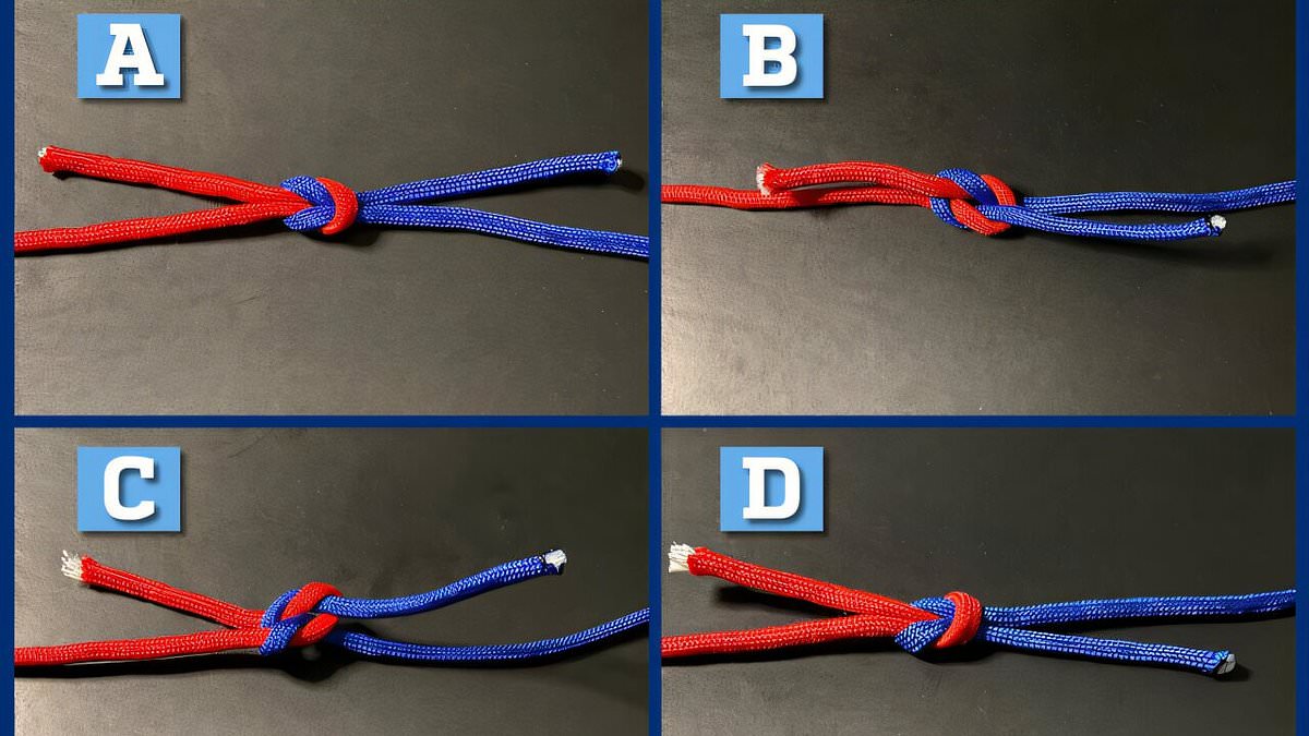 Can YOU tell which is the strongest? Humans are 'terrible' at judging knots - see if you can decipher them