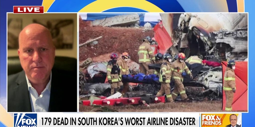 Aviation expert raises questions on deadly South Korea airline disaster