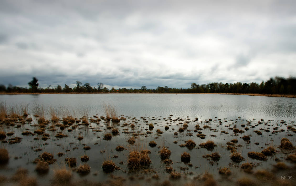 Intruiging Dutch Lake views by ishi99 on DeviantArt