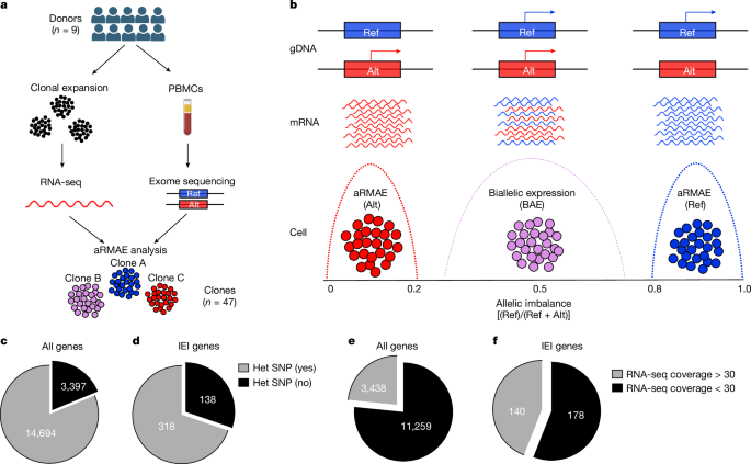 Monoallelic expression can govern penetrance of inborn errors of immunity