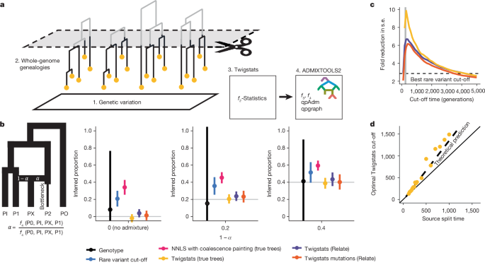 High-resolution genomic history of early medieval Europe