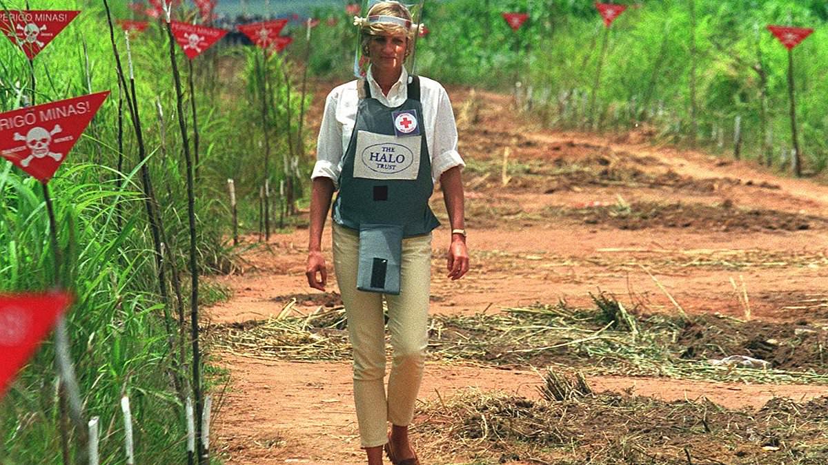 The moment Prince Harry felt 'closer' to his mother by following in her footsteps during landmine trip