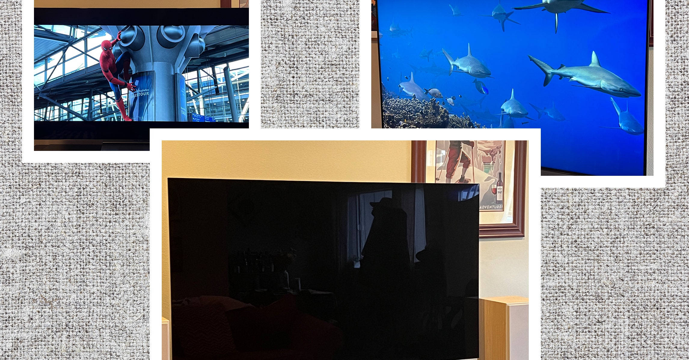 The 13 Best TVs We’ve Reviewed, Plus Buying Advice (2025)