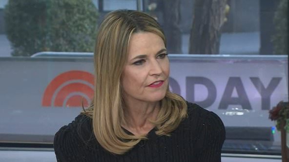 Savannah Guthrie's cameo in Netflix drama Zero Day is examined by costar Robert De Niro