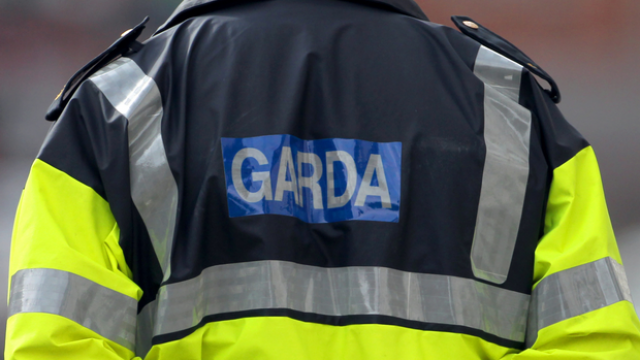 Partial human remains found in Dublin school yard