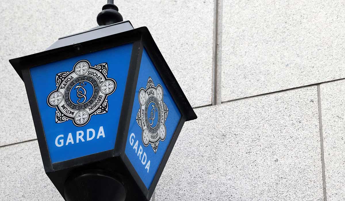 Garda launch investigation after human remains discovered at Dublin primary school