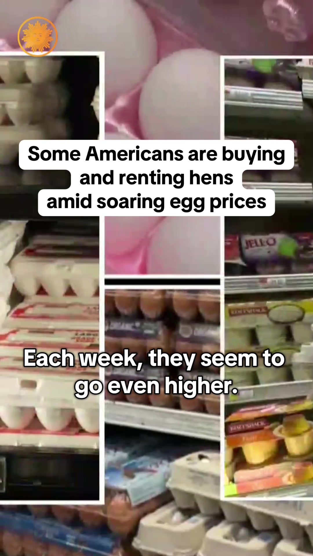 Egg prices have jumped more than 15% in the past month alone — and that price increase is being blamed on bird flu. Now, some Americans are turning to buying or renting egg-laying hens to try to offset the cost of grocery store eggs. But one longtime chicken owner warns that they aren’t a pet suitable for everyone: “There are a lot of considerations that go into making the commitment to keep chickens.” #eggs #eggprices #grocerystore #inflation #birdflu #chickens