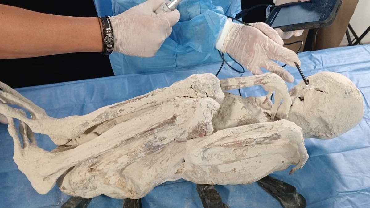 Scientists studying 'alien mummies' from Peru make startling find while probing their mouths