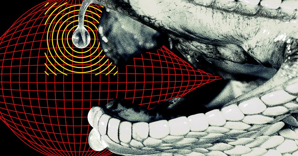 Total Chad Gets Bit by Hundreds Venomous Snakes to Develop Universal Antivenom