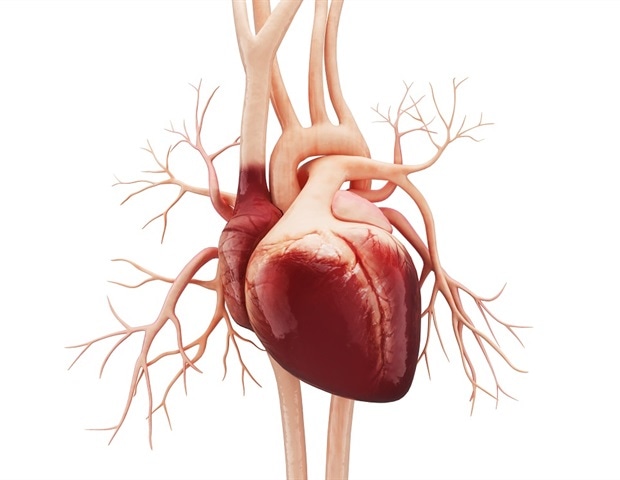 Hidden heart and lung damage detected in patients with long COVID