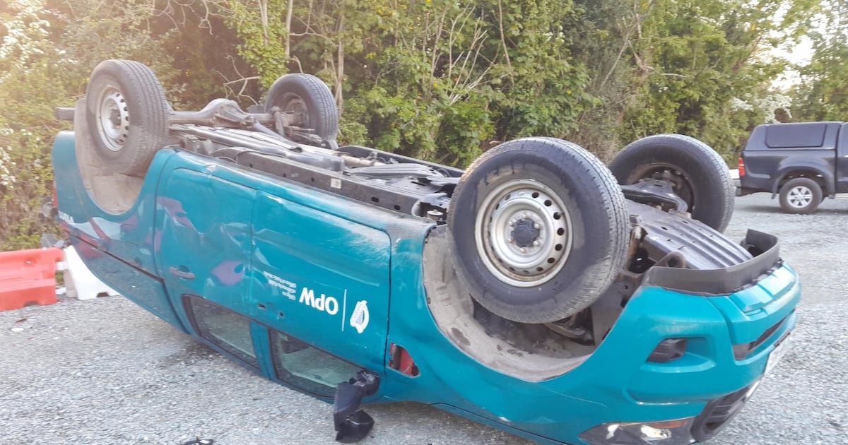 Vandals cause €500,000 worth of damage to OPW site used to access Castletown House