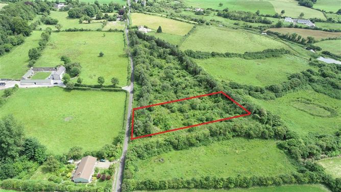 Site At Ballygriffy South, Ennis, Co. Clare - DNG O'Sullivan Hurley - 4928177