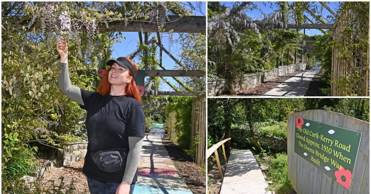 Peter Dowdall: Wisteria walkway time tunnel will take in Cork-Kerry road closed in 1910
