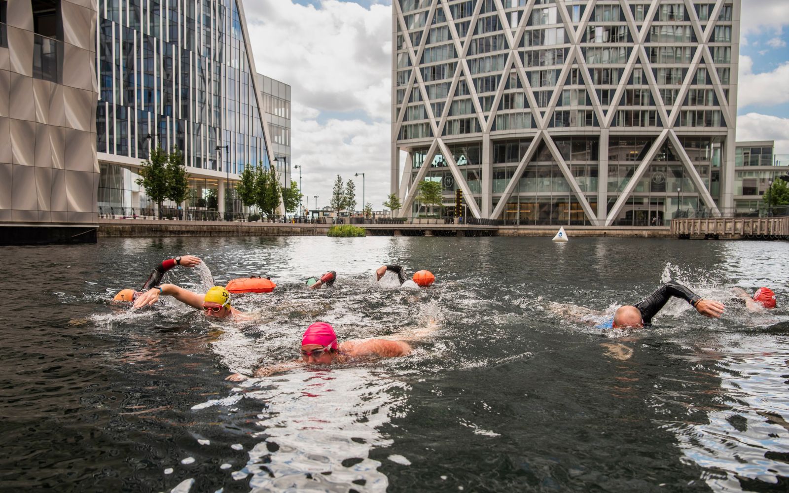 Go Open Water Swimming in Canary Wharf