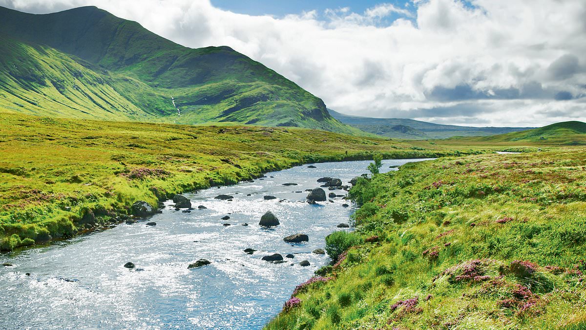 The catastrophic extent of Britain's river problem: 'Undrinkable, unswimmable, and now untouchable', says nature expert ROBERT MACFARLANE