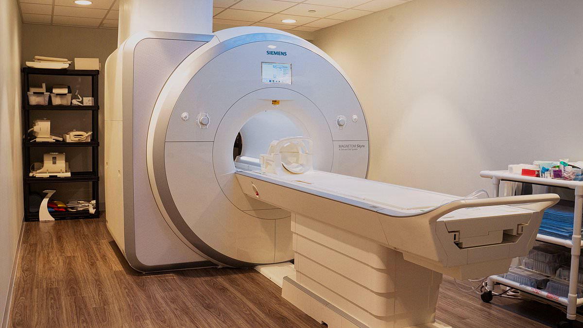 AI could save your life! A £400 15-minute full-body scan to detect the earliest signs of cancer is on the horizon thanks to artificial intelligence
