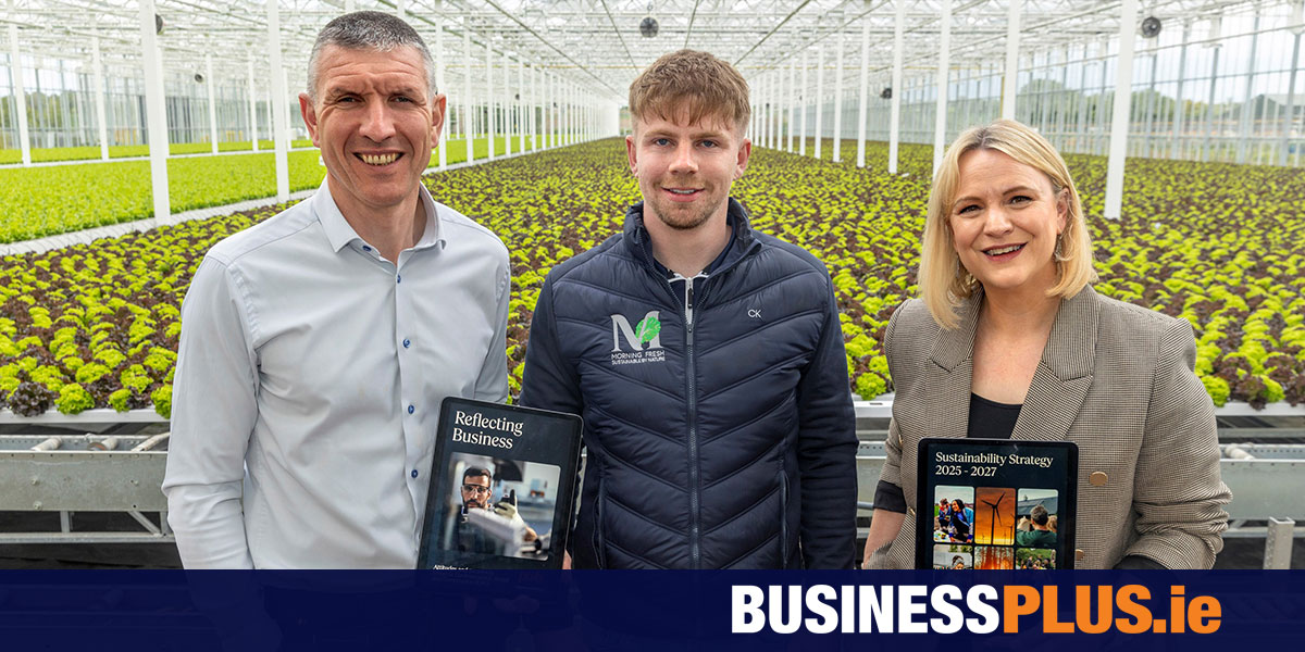 Irish businesses increasingly pursuing commercial opportunities in sustainability