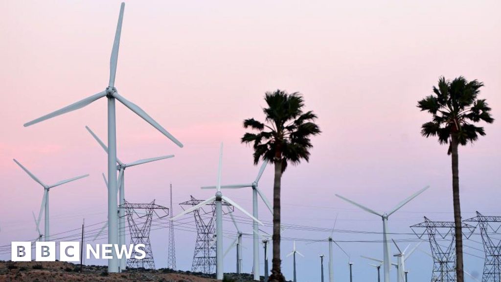 US green energy firms brace for federal funding cuts