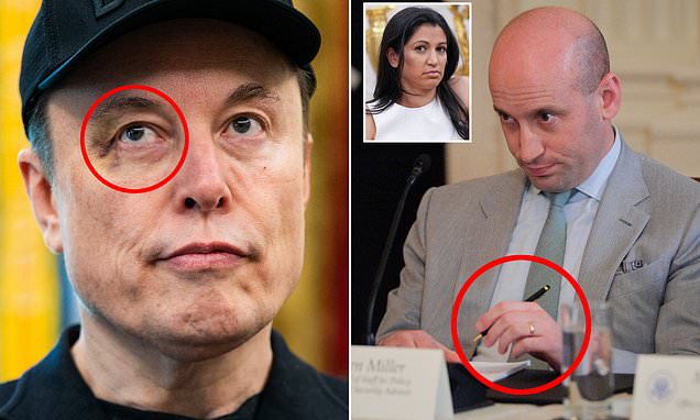 Elon Musk's black eye sparks rumor over Stephen Miller's wife