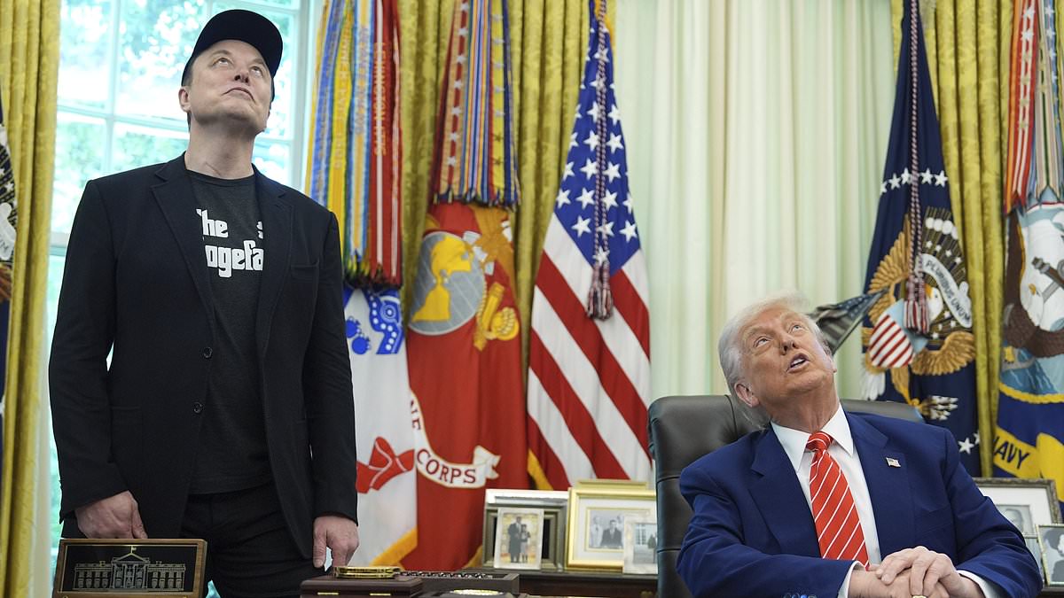 Elon Musk vows DOGE is not dead as he bows out of Trump's White House