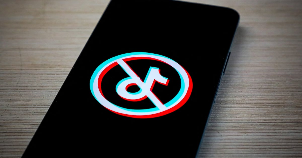 TikTok seeks stay on suspension of data transfer to China decision