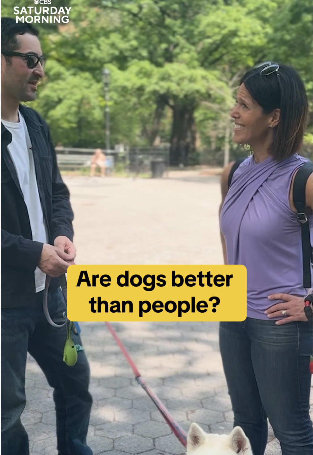 Are dogs better than people? @The Dogist’s Elias Friedman explains the lessons in confidence we all can learn from our four-legged friends. #dogs #pets #dogsoftiktok